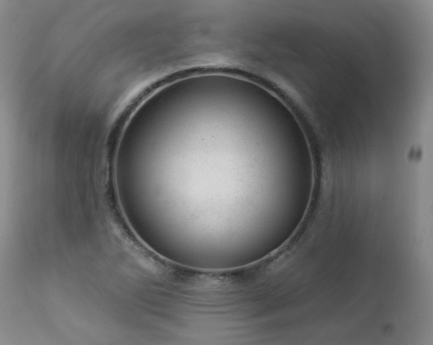 X0000112981270200909031101