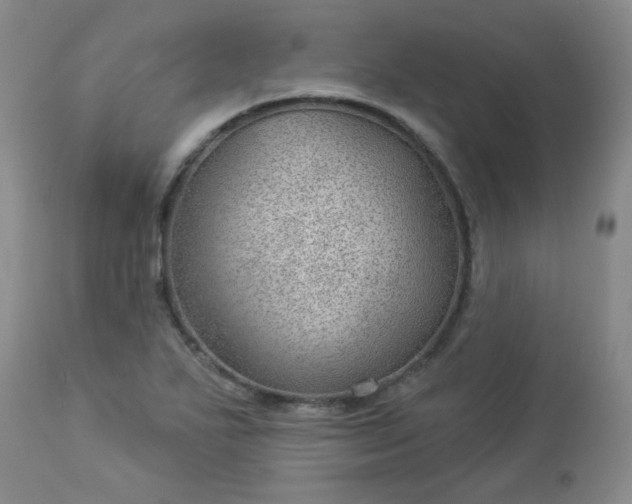 X0000112981271200909031101