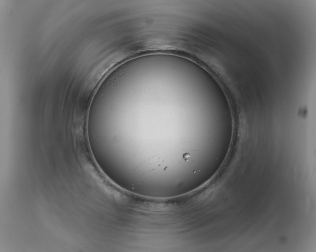 X0000112981273200909031101