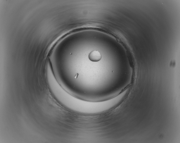 X0000112981276200909031101