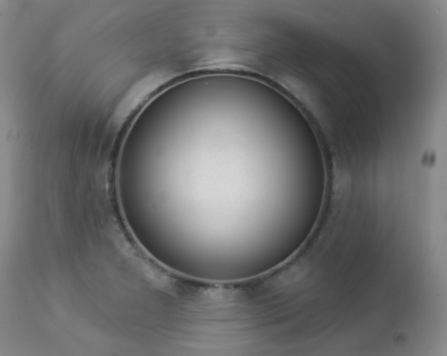 X0000112981277200909031101