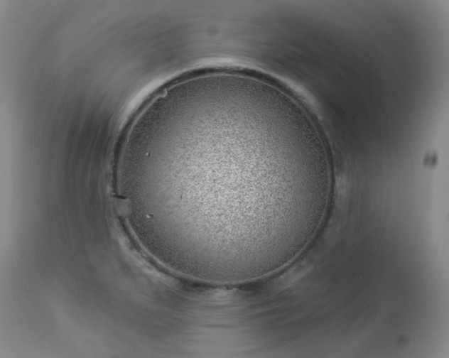 X0000112981279200909031101