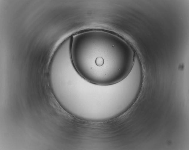 X0000112981280200909031101
