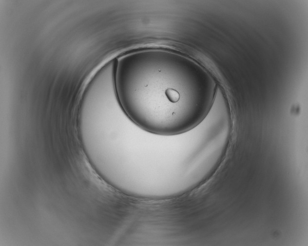 X0000112981284200909031100