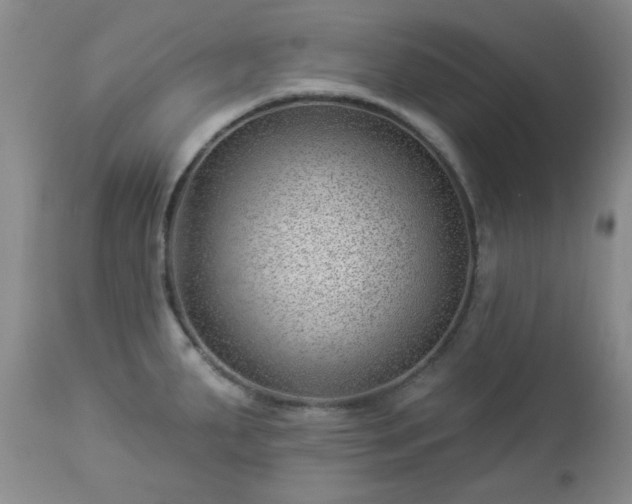 X0000112981287200909031100