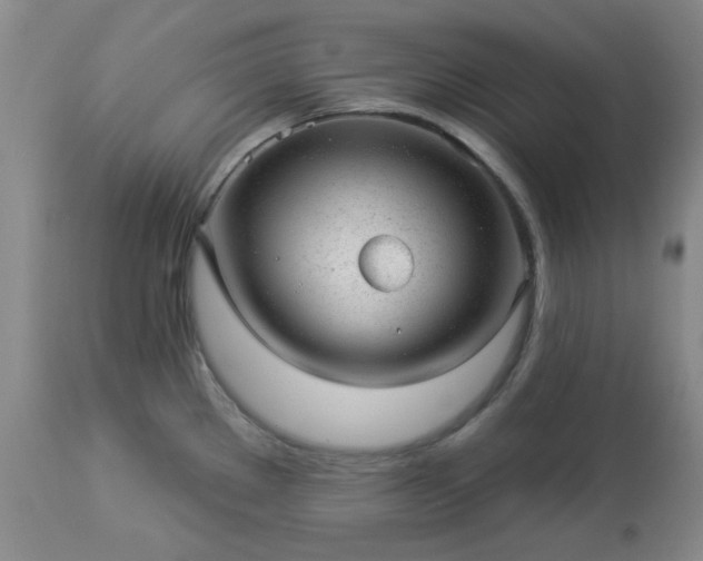 X0000112981289200909031100