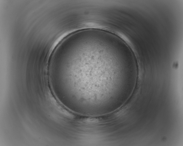 X0000112981291200909031100