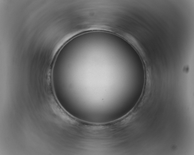 X0000112981292200909031100