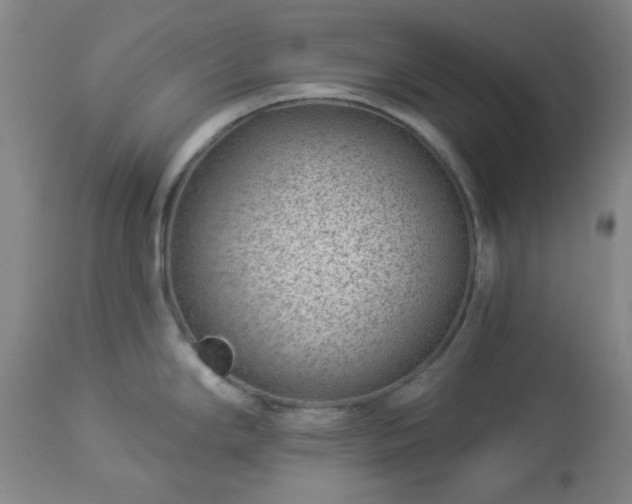 X0000112981294200909031100