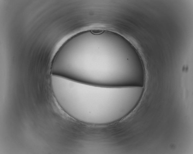X0000112981296200909031100