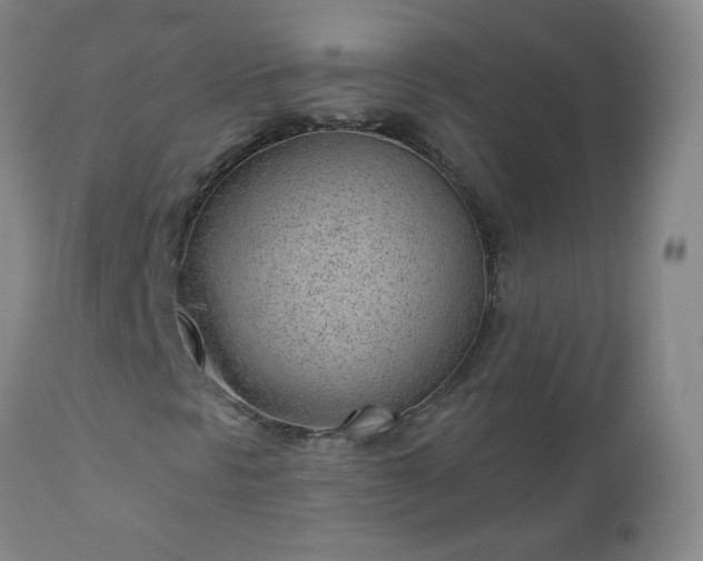 X0000112981297200909031100