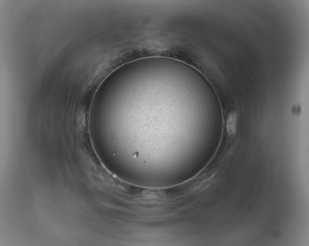 X0000112981299200909031100