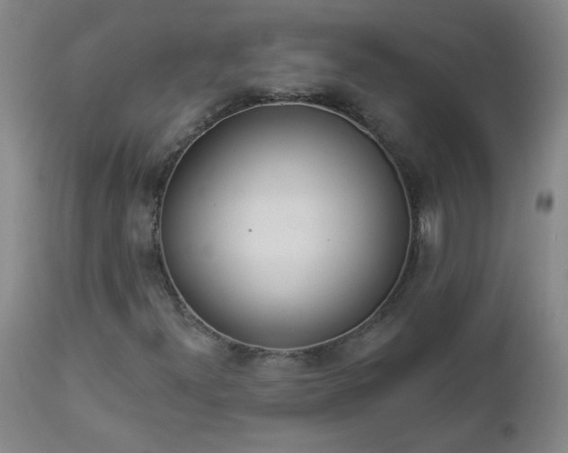 X0000112981300200909031100