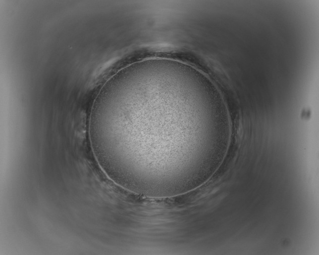 X0000112981301200909031100