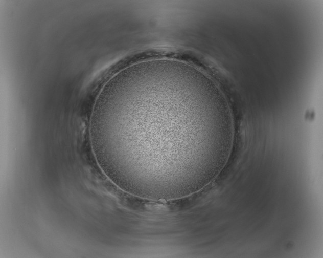 X0000112981302200909031100
