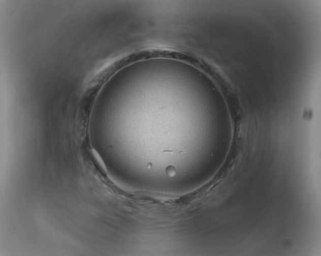 X0000112981303200909031100