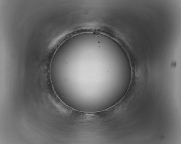 X0000112981304200909031100