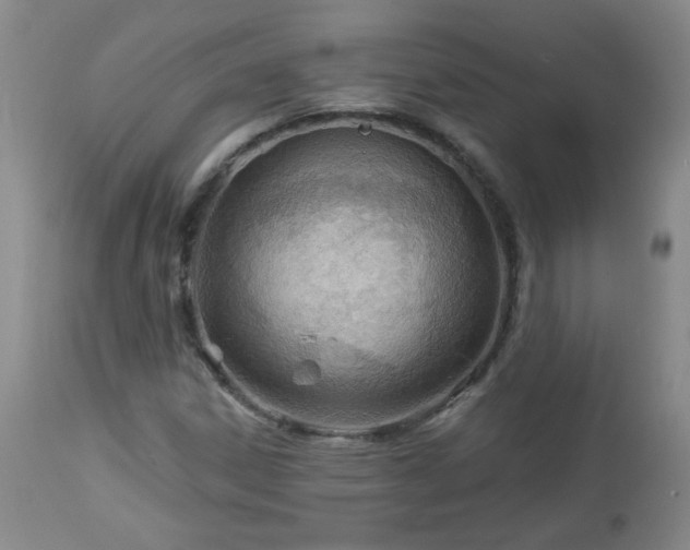 X0000112981306200909031100