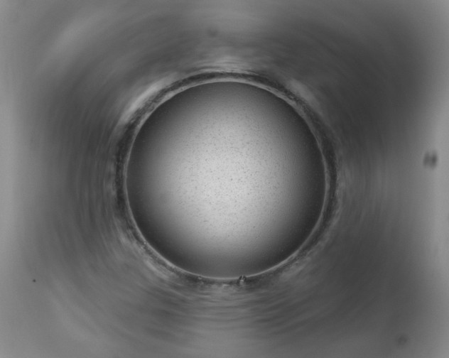 X0000112981307200909031100