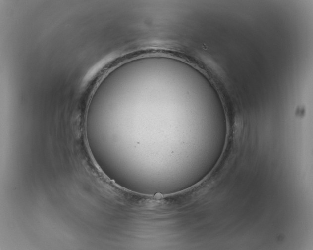 X0000112981310200909031100