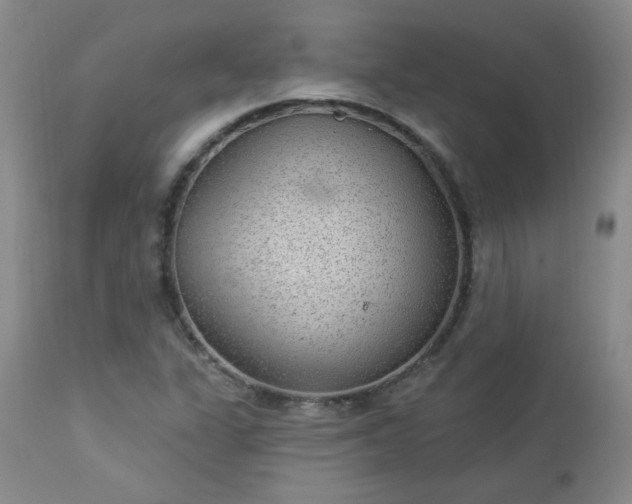 X0000112981311200909031100