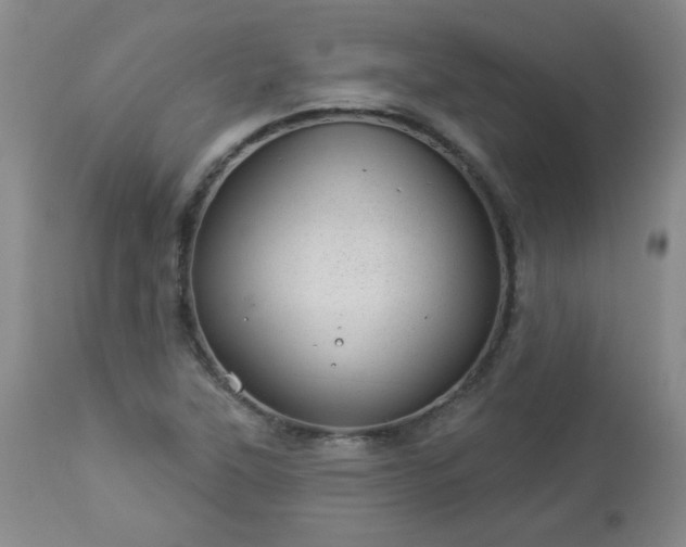 X0000112981315200909031100