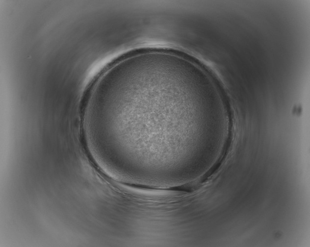 X0000112981319200909031100