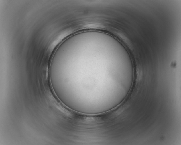 X0000112981322200909031100