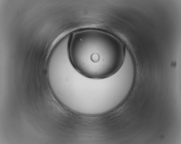 X0000112981324200909031100
