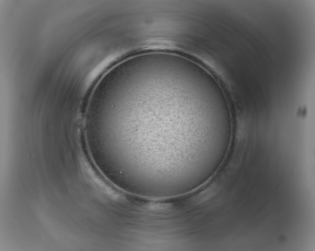 X0000112981325200909031100