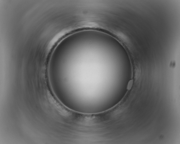 X0000112981326200909031100