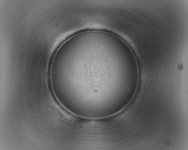 X0000112981327200909031100