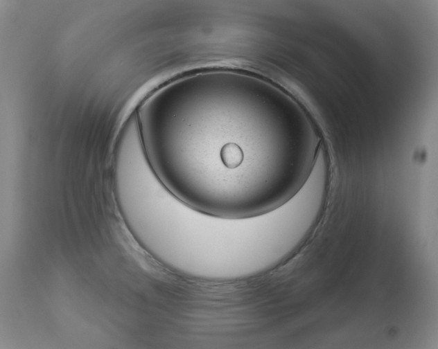 X0000112981332200909031100
