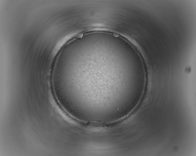 X0000112981333200909031100