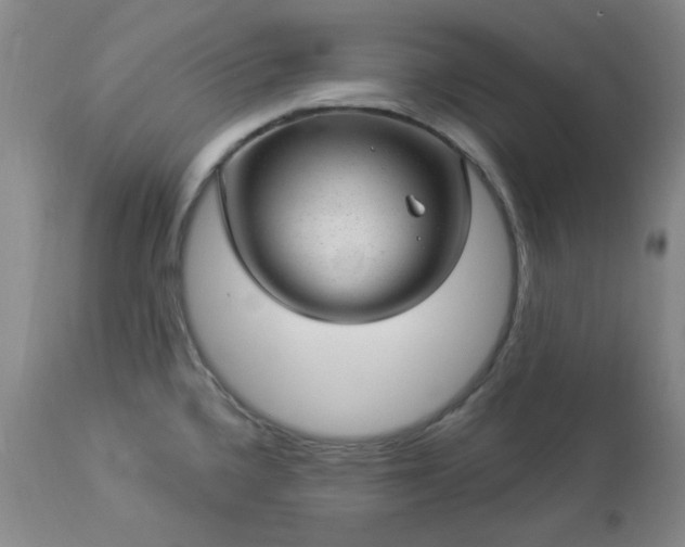 X0000112981336200909031100