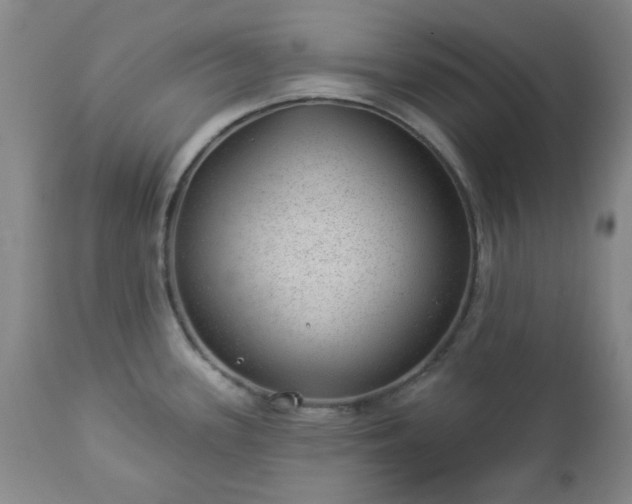 X0000112981339200909031100