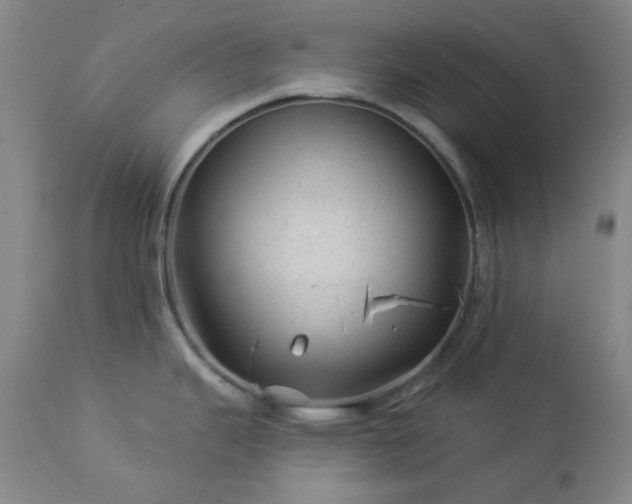 X0000112981343200909031100