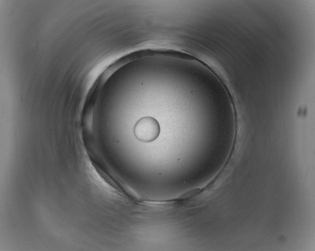 X0000112981344200909031100