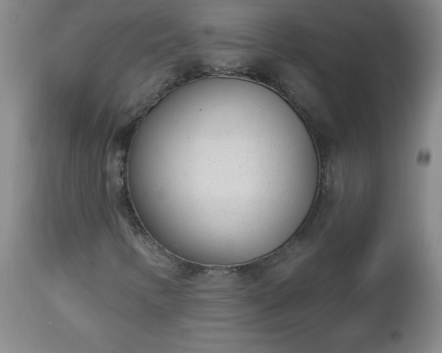 X0000112981346200909031100