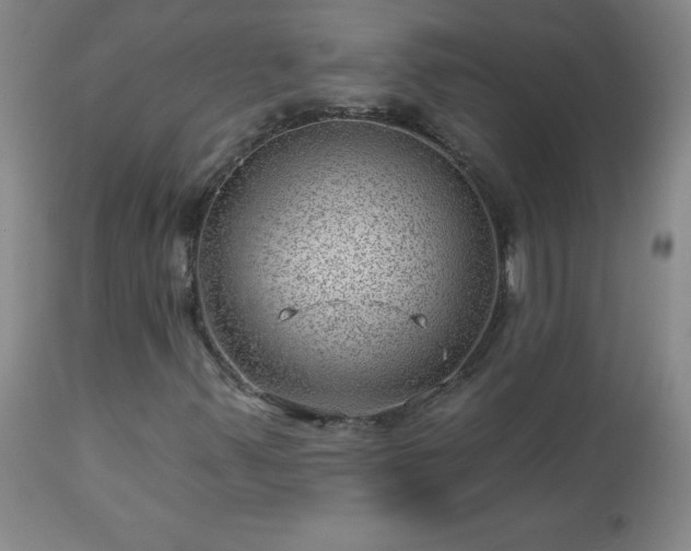 X0000112981347200909031100