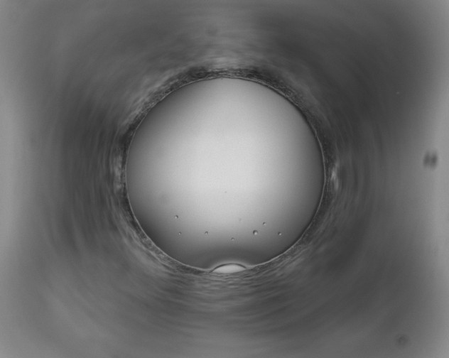 X0000112981348200909031100