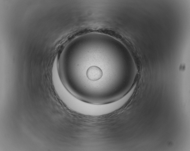 X0000112981349200909031100