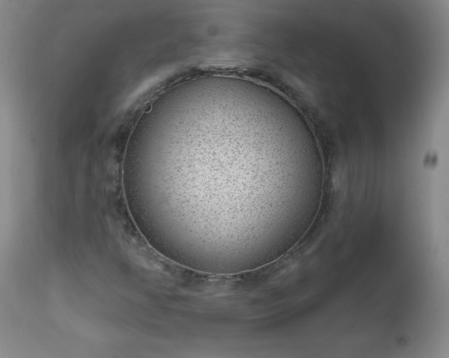 X0000112981350200909031100