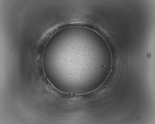 X0000112981351200909031100