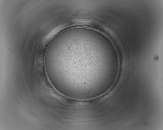 X0000112981354200909031100
