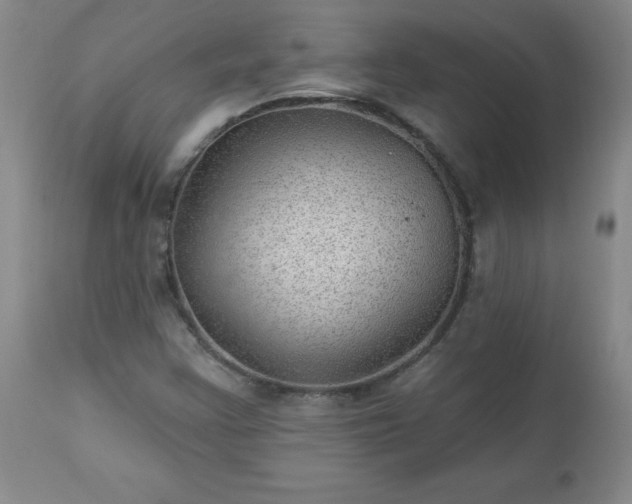 X0000112981355200909031059