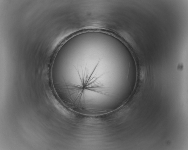 X0000112981356200909031059