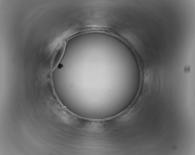 X0000112981357200909031059