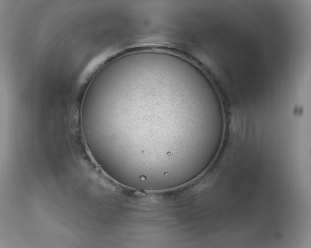 X0000112981358200909031059
