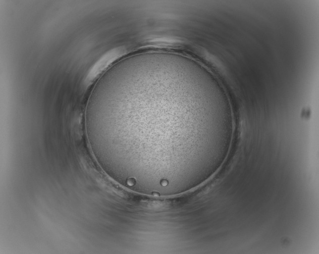 X0000112981362200909031059